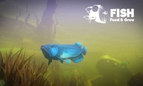 Feed and Grow: Fish on Mobile - Deep Dive into an Aquatic World